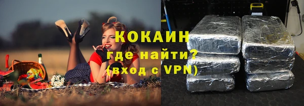 тгк Бородино