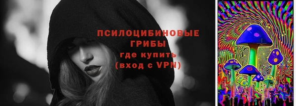 сатива Бугульма