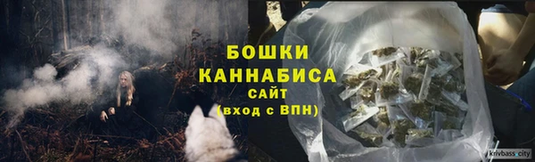 сатива Бугульма