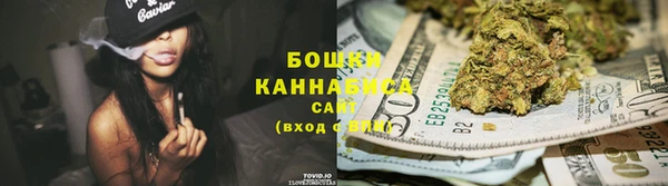 сатива Бугульма