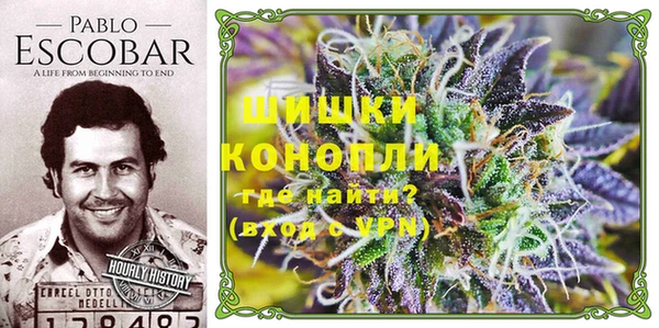 сатива Бугульма