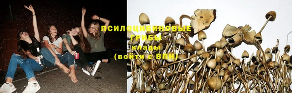 тгк Бородино
