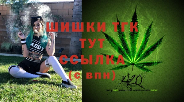 тгк Бородино