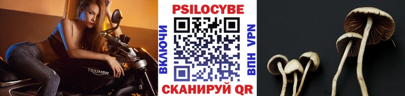 omg ссылка Северобайкальск Галлюциногенные грибы GOLDEN TEACHER